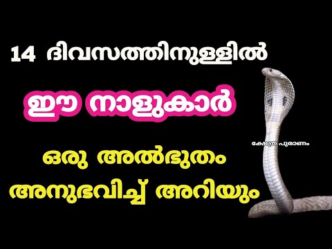 ഈ നക്ഷത്രക്കാരുടെ സമയം തെളിഞ്ഞിരിക്കുന്നു. ഇനി എന്തൊക്കെ ചെയ്താലും അത് വിജയത്തിൽ അവസാനിക്കുന്നതാണ് കണ്ടു നോക്കൂ.