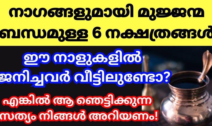 അതിശയിച്ചു പോകുന്ന ഭാഗ്യം വന്ന ചേർന്നിരിക്കുന്ന നാഗ നക്ഷത്രങ്ങൾ. ഇത് കേട്ടാൽ നിങ്ങൾ ഞെട്ടും.