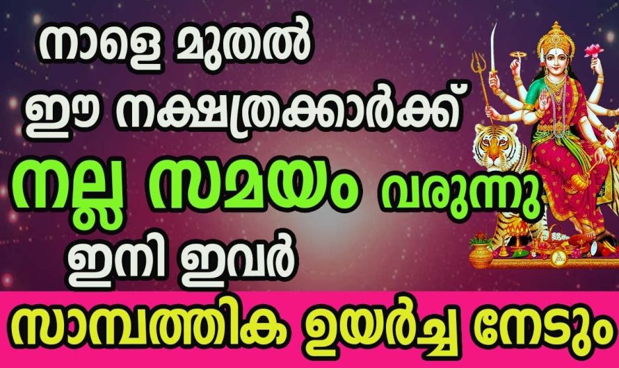 നാളെ മുതൽ ശുക്രൻ ഉദിച്ചിരിക്കാൻ പോകുന്ന നക്ഷത്രക്കാർ. ഇവർ തൊടുന്നതെല്ലാം പൊന്നായി മാറും.