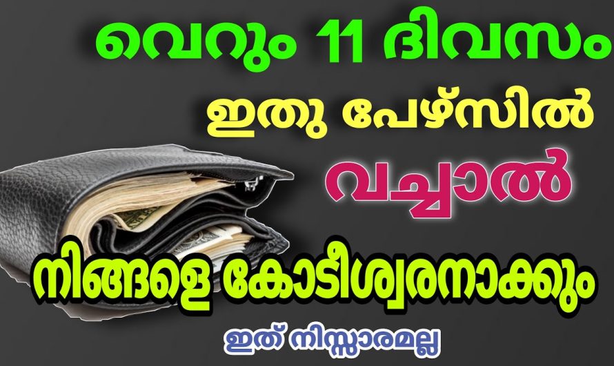 സാമ്പത്തികമായിട്ടുള്ള ഉയർച്ച എപ്പോഴും ഉണ്ടാകുവാൻ പേഴ്സിൽ ഈ വസ്തുവെച്ചാൽ മതി.